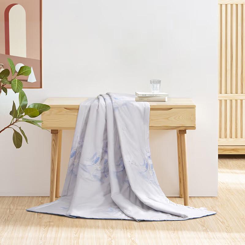 

Mercury Home Textiles Warm Spring Cotton Summer Quilt