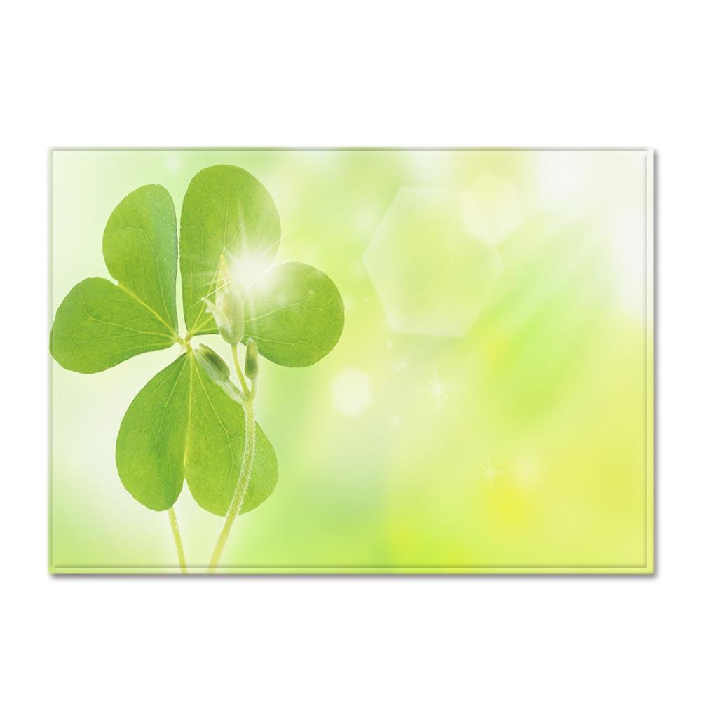 

Scenic Carpet Feather Wind Bedroom Floor Mat 40*60cm