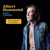 Albert Hammond - Body of Work [compact Discs]