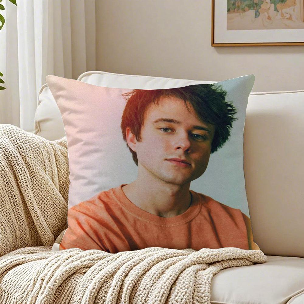 Singer AAlec BBenjamin Cushion Cover Pillowcase Antidustmite living Room Sofa Decor Cushion Room