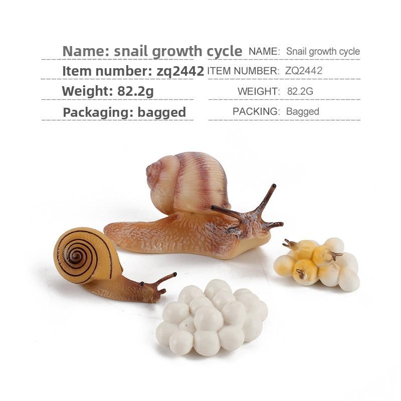 Realistic Pvc Insect Bees Spiders Model Set For Science Education And Collection Display