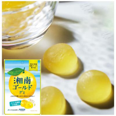 Of 10 Kaneka Foods Shonan Gold Gummy Fruit Juice Gummy Contains Labre Lactic Acid Bacteria 40g X 10 Bags Gummy Popular Large Capacity [Set Bags]