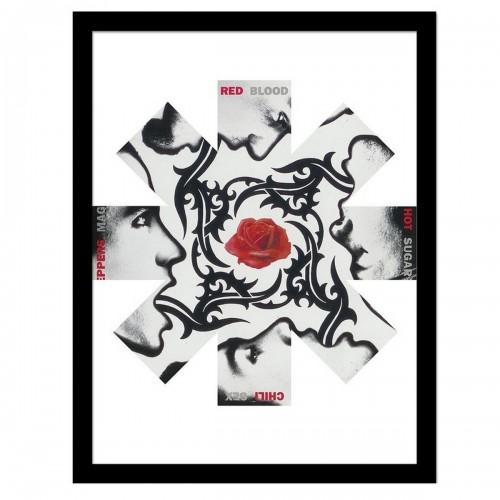 Red Hot Chili Peppers Rose Framed Poster