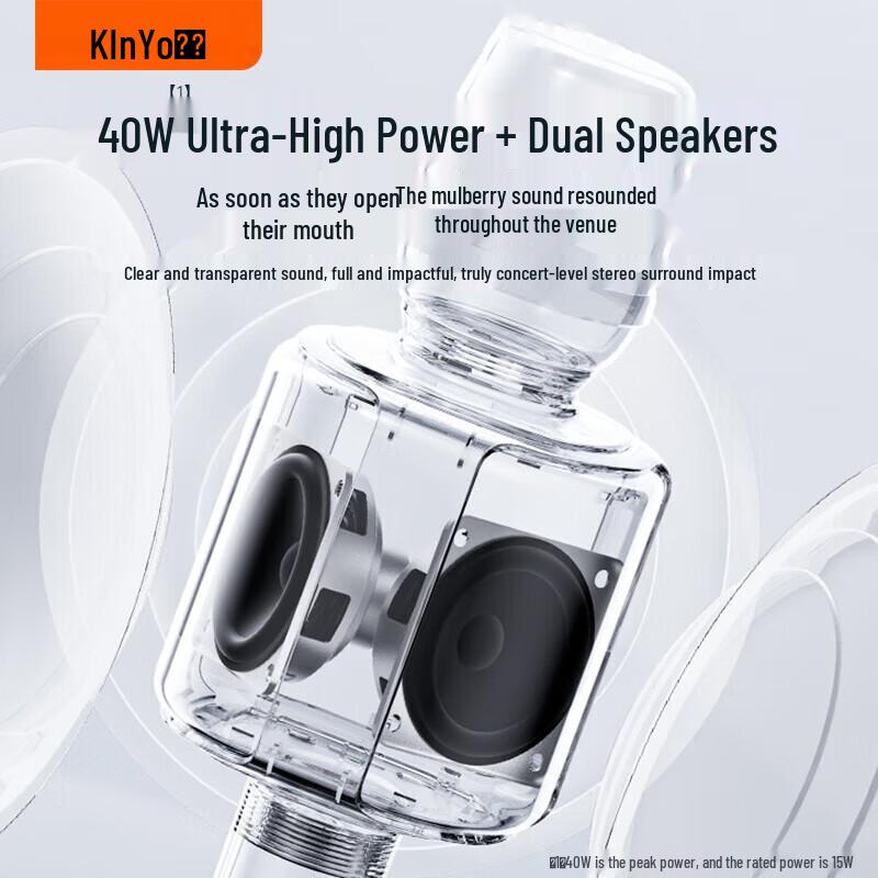 KINYO KTV Wireless Microphone Speaker System