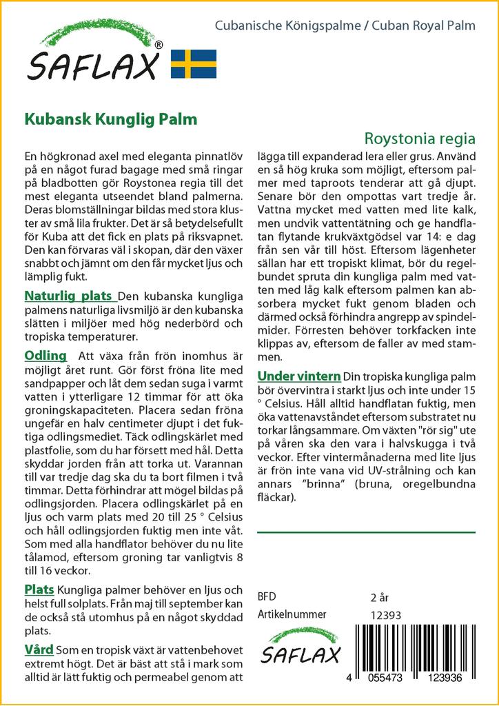 SAFLAX Cuban Royal Palm - 8 Seeds - With Potting Substrate for Better Cultivation - Roystonia Regia
