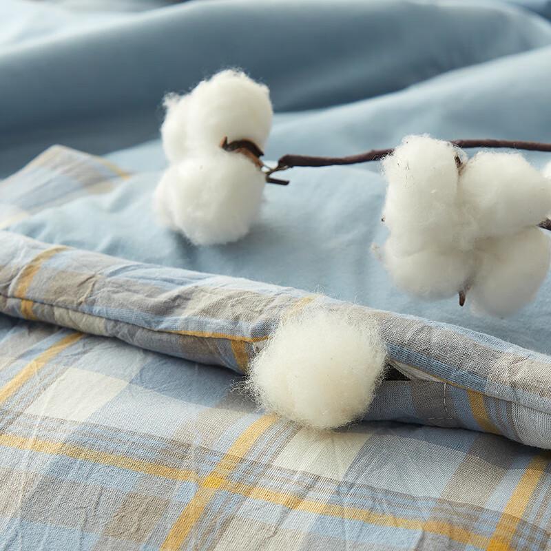 Aosmeng Xinjiang Cotton Embroidered Summer Comforter