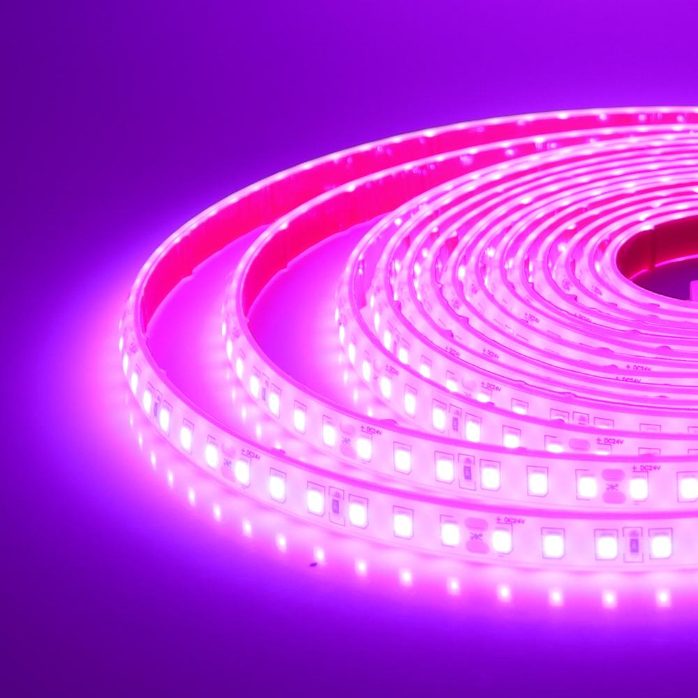 IP68 Waterproof LED Strip Lights 24V 2835 120Leds/m Warm Natural White Red Green Blue Flexible Lus Led Tape Underwater Decor