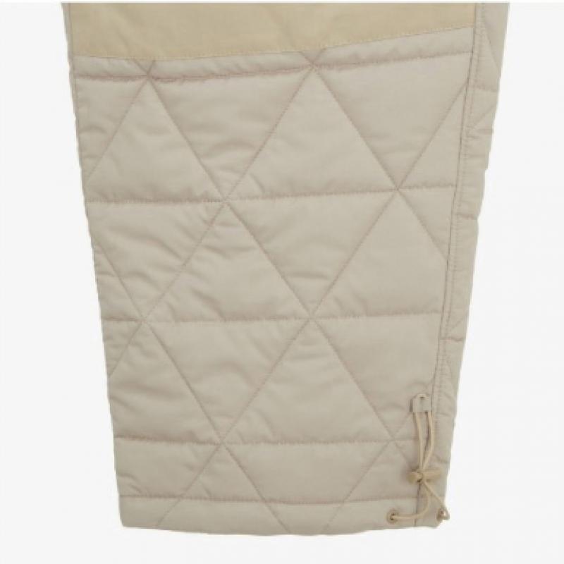 The North Face Men S Geodome V pantS Light Beige