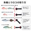 Clean House Fish Scale Fish Scale Made In Stainless Steel Remover, No-Splatter Remover, Master, Manual, Tsubame-Sanjo, Japan, Lightweight,