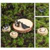 Multicolor Micro Swallow Model Fairy Garden Ornament Mini Birds' Nests Statue  Outdoor Indoor