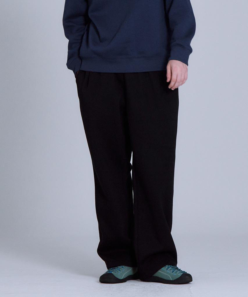 BASIC HOUSE Uni Brushed Terry Single-Pleat Wide Pants (2 Colors) Lapt7103