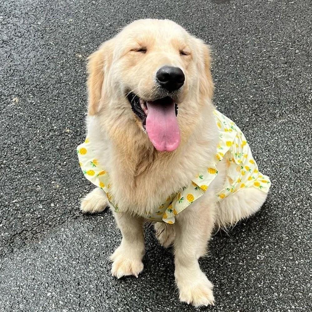 Fruit Print Pet Princess Dresses Flutter Sleeve Dog Cooling Clothes Dog Floral Skirt  for Pet Party