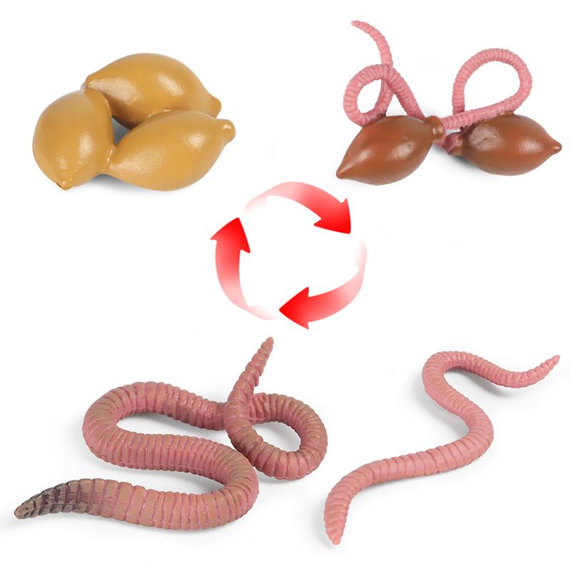 Oenux Simulation Luna Moth Salmon Butterfly Ants Life Growth Cycle Animals Model Action Figures Educational Miniature Kids Toy