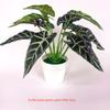 Caladium Simulated Bicolor Artificial Green Plant Potted Indoor Decoration