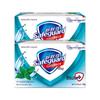 Safeguard Mint Icy Refreshing Soap