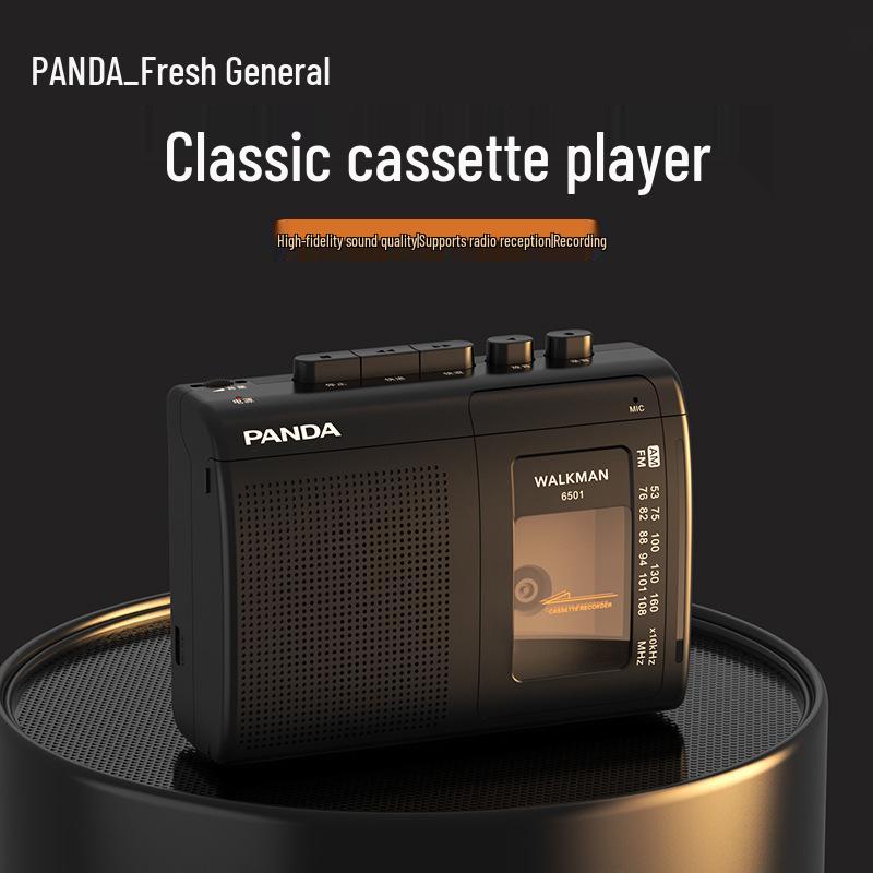 Panda 6501 Nostalgischer Kassettenrekorder und Radio-Recorder