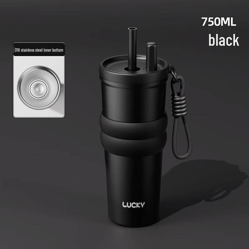 HDST 750ml 316 Stainless Steel Insulated Straw Tumbler