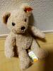 [USED] Steiff Teddy Bear (height Approx. 26cm)