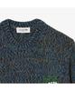LACOSTE Men'S Heavy Antarctic Pullover Ah5917-55N 8Ix