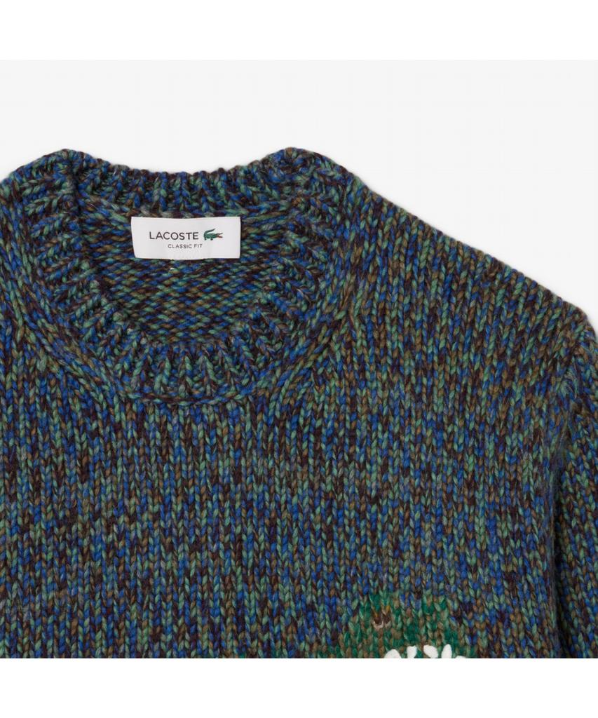 LACOSTE Men'S Heavy Antarctic Pullover Ah5917-55N 8Ix