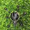Wall Climbers Insects Rolling Glass Insects Sticky Wall Climbing Capsules Children's Gifts New Strange Toys