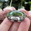 Popular Green Wood Grain Ring