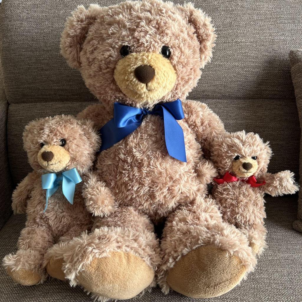 [USED] DAISO Honey Teddy Bear Plush Toy