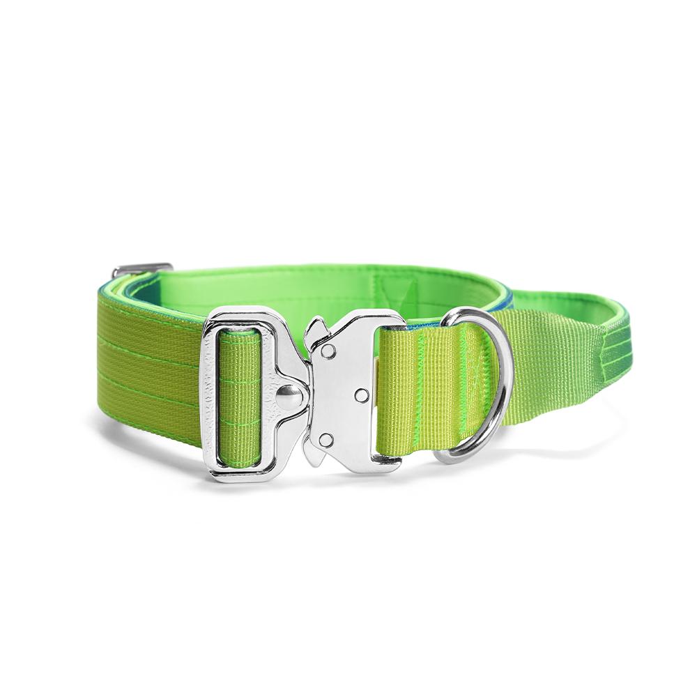 

Metal Buckle French Bulldog Pet Collar and Leash Set Sturdy Durable Pet Collars for Medium Large Dogs Bull Terrier Accessories M-advise 20-27kg зелений