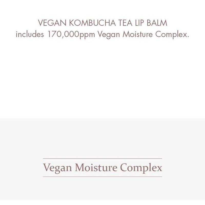 DR. Ceuracle - Veganer Kombucha Tee Lippenbalsam