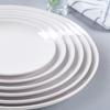 Shengjia Commercial Melamine White Round Dinner Plates - 10 Pack