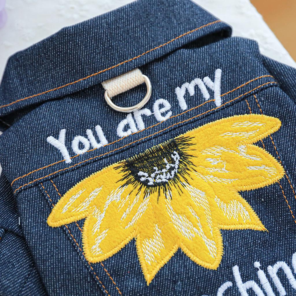 Autumn Winter Dog Jeans Coat Designer Denim Clothes Jacket for Small Medium Dogs Puppy Outfit Yorkie Apparel Shitzu Costumes