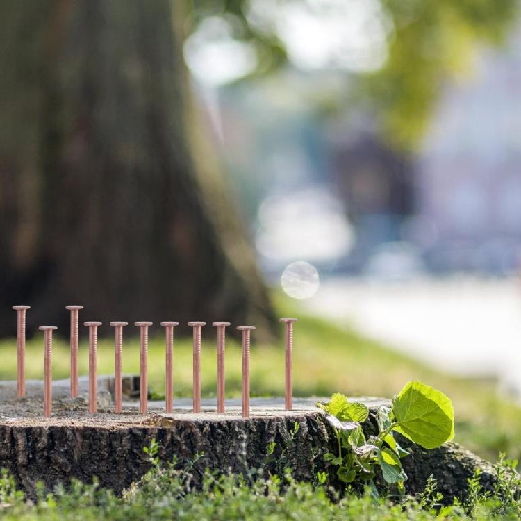15Pcs Copper Nails for Killing Trees Stump Removal Spikes Tree Stump Killers for Killing Trees Stump Root Enduring