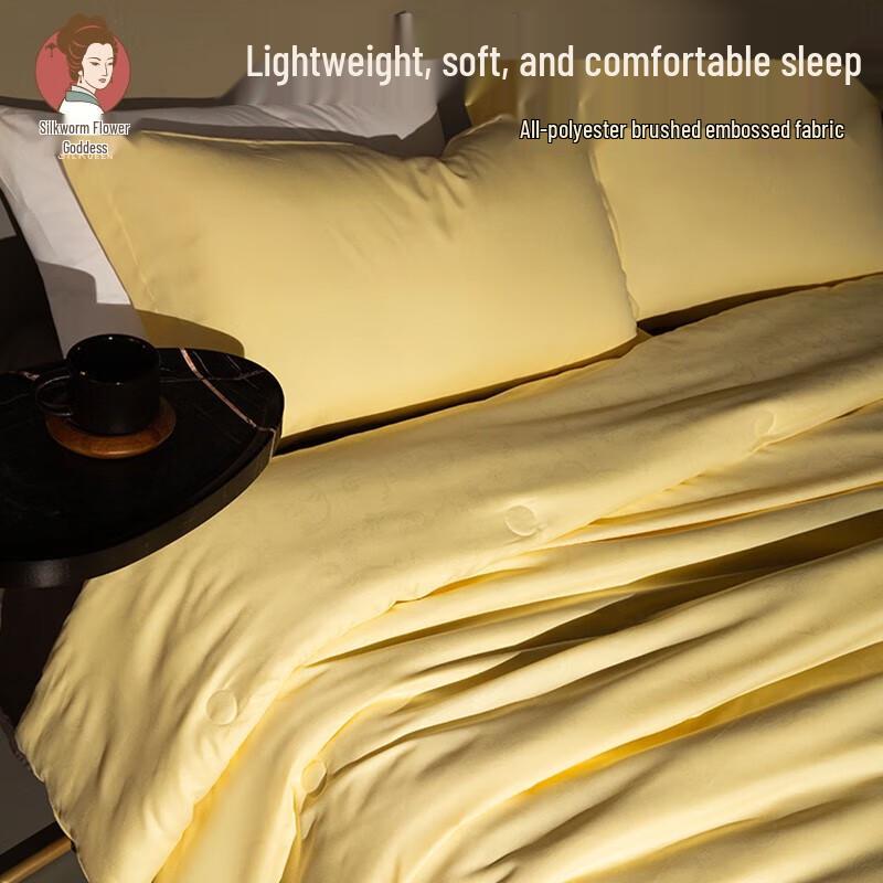 

SILKUEEN 100% Mulberry Silk Lightweight Quilt