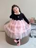 Autumn 2025 Cute Long Sleeve Gauze Dress for Little Girls - Stylish Princess Design