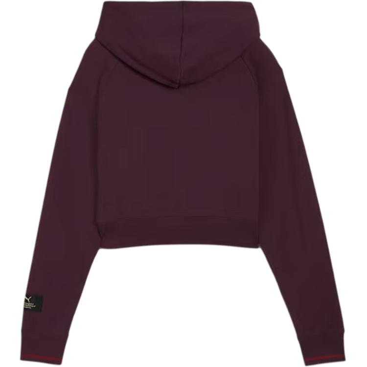 Puma Classics Relaxed Hoodie Soft Comfortable Fashion Sweatshirt Women hoodies Midnight-Plum 627484-44