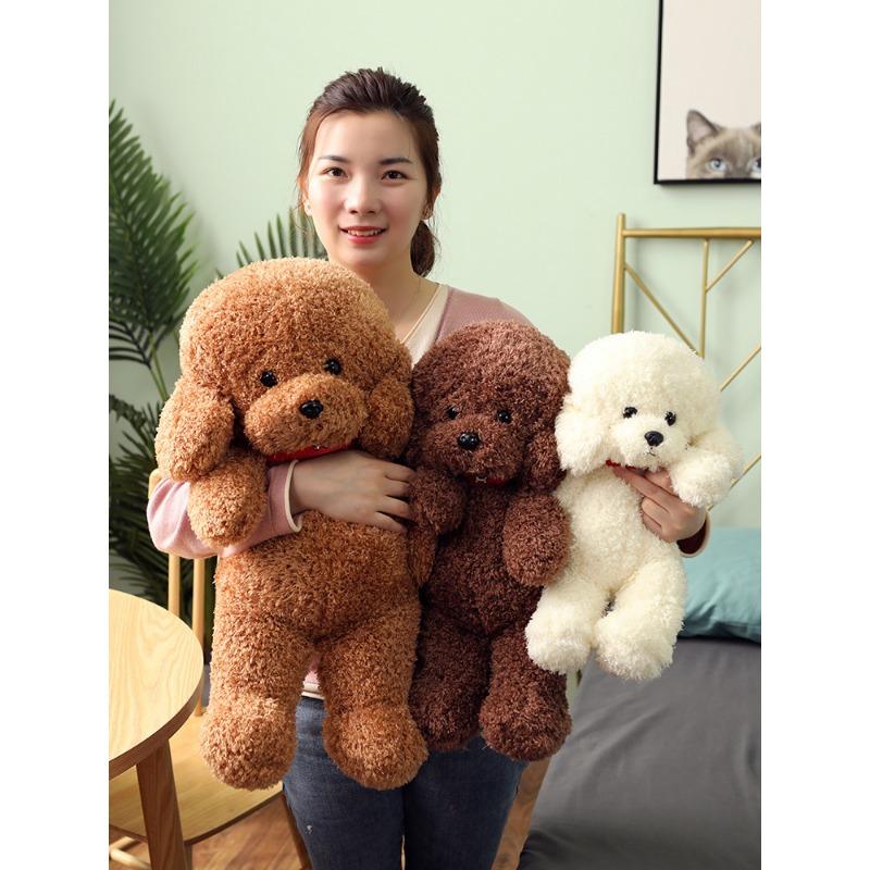 Teddy Dog Puppy Doll Plush Toys Sitting Poodle Doll Zoo Event Gifts