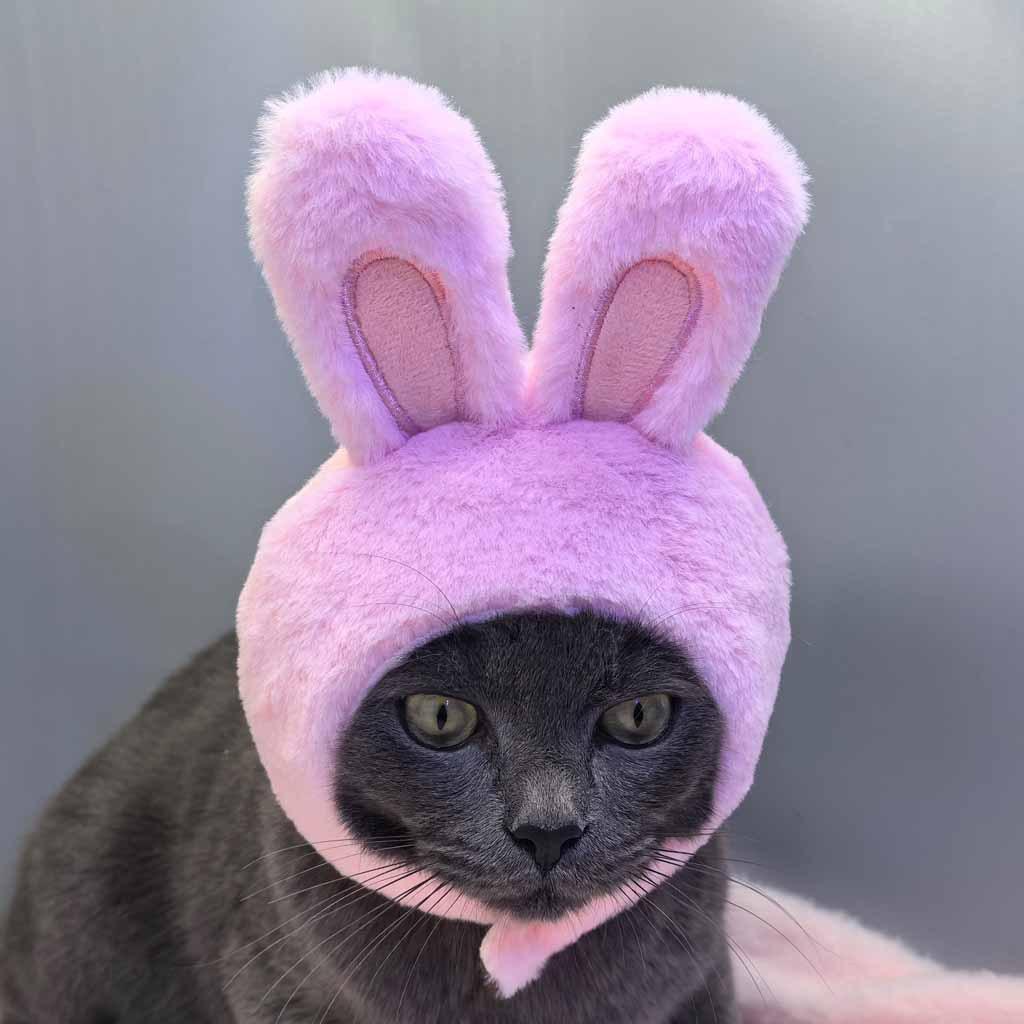 

Plush cute rabbit hat for cats and small dogs cat decoration accessories soft pet supplies cat head cover hat great for educational activities