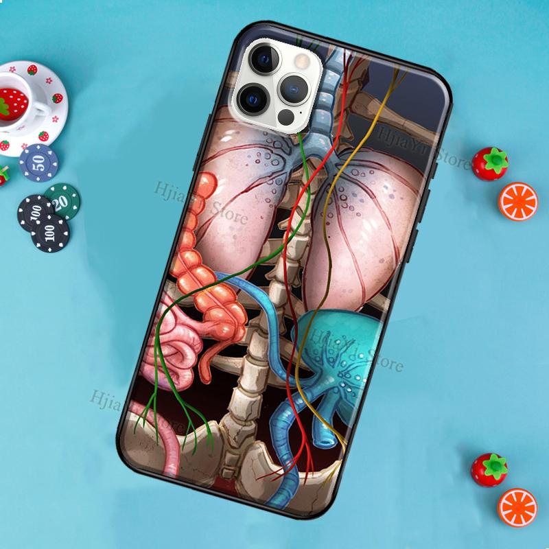 Medical Human Anatomy Phone Case For iPhone 12 Pro Max 13 Mini SE 2020 8 7 Plus 11 14 Pro Max X XS Max XR Cover