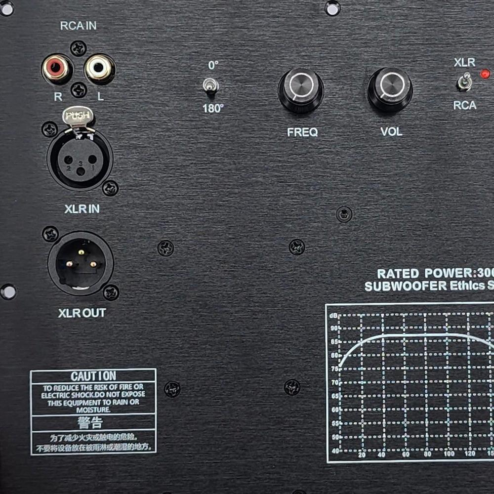 Amplificateur de Puissance Actif Numérique HIFI Mono TPA3255 300W Subwoofer Puissant Carte Basses Pures Système Audio Domestique Professionnel