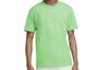 T Shirts Men's Green Crew Neck Moderate Straight Fit DB3194-390