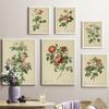 Antique Plants  Rose Flower Illustrations Vintage Posters And Prints Pictures Home Room Cafe Bar Kitchen Art Wall Decor Painting
