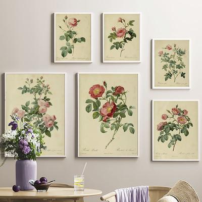 Antyczne Rośliny Ilustracje Kwiatów Róży Plakaty i Druki w Stylu Vintage Obrazy Dekoracja Ściany Artystyczna do Domu Pokoju Kawiarni Baru Kuchni