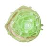 Silicone Food Cover, Reusable Stretchable Sealing for Heat Retention and Food