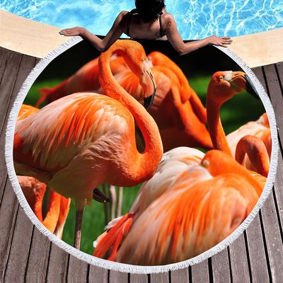 Sport acquatici – Coperte e asciugamani da spiaggia