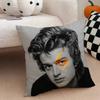 Singer J-Joe K-Keery Pillow Case Pattern Printed Pillowcase For Living Room Sofa Cushion Cover