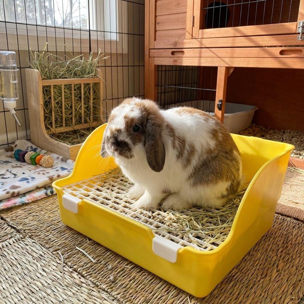Splash-Proof Animal Potty Trainer Rectangular Rabbit Training Toilet Pet Toilet Box Pet Supplies