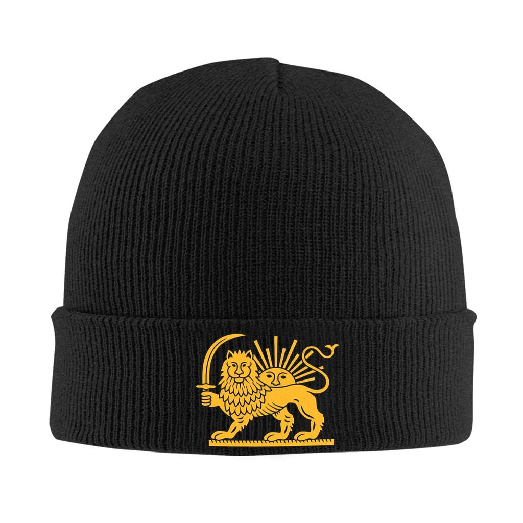 Lion and Sun of Flag Emblem Knitted Caps Women's Men's Beanie Autumn Winter Hats Acrylic  Warm Caps