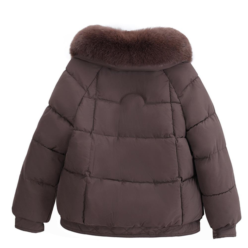 New short cotton clothes women's winter slim fashion thickened fur collar thickened warm jacket