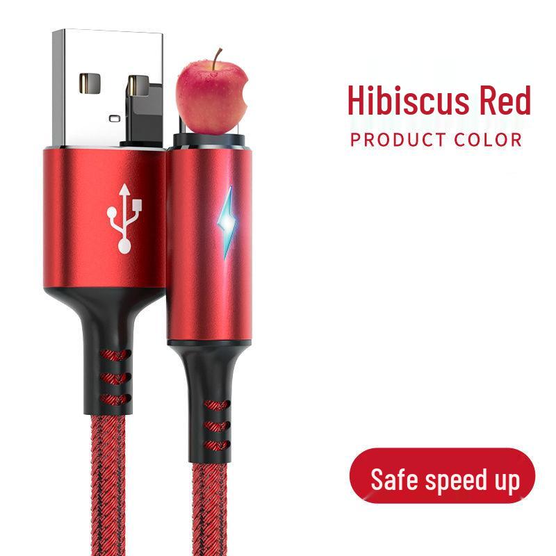 5A Fast Charging Luminous USB-C Lightning Cable for Apple & Android Devices
