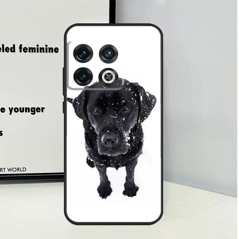 Black Labrador Dog Case For OnePlus Nord 3 2T N30 N20 N10 CE 2 Lite OnePlus 10T 12R 10R 8 9 10 Pro 11 12 Cover